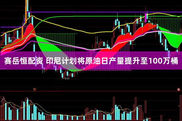 赛岳恒配资 印尼计划将原油日产量提升至100万桶