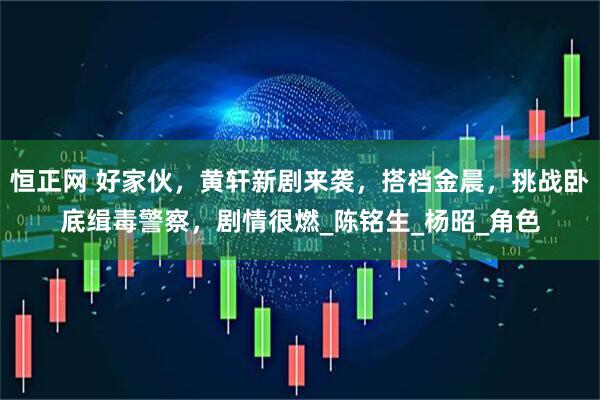 恒正网 好家伙，黄轩新剧来袭，搭档金晨，挑战卧底缉毒警察，剧情很燃_陈铭生_杨昭_角色