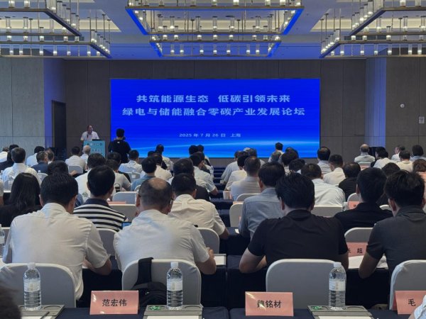 优益配资 行业人士建议：推进绿电与储能深入融合 助力构建新型电力系统