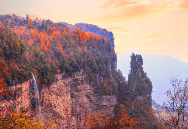 深金优配 秋日调色盘！四川旺苍即将迎来红叶最佳观赏期